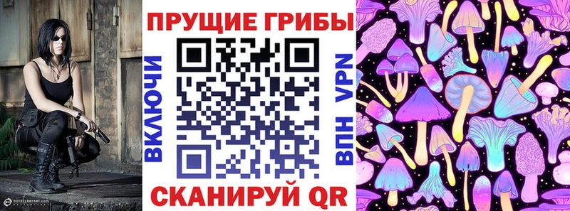 Псилоцибиновые грибы прущие грибы Старый Оскол